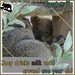 slow weaning by koalagardens