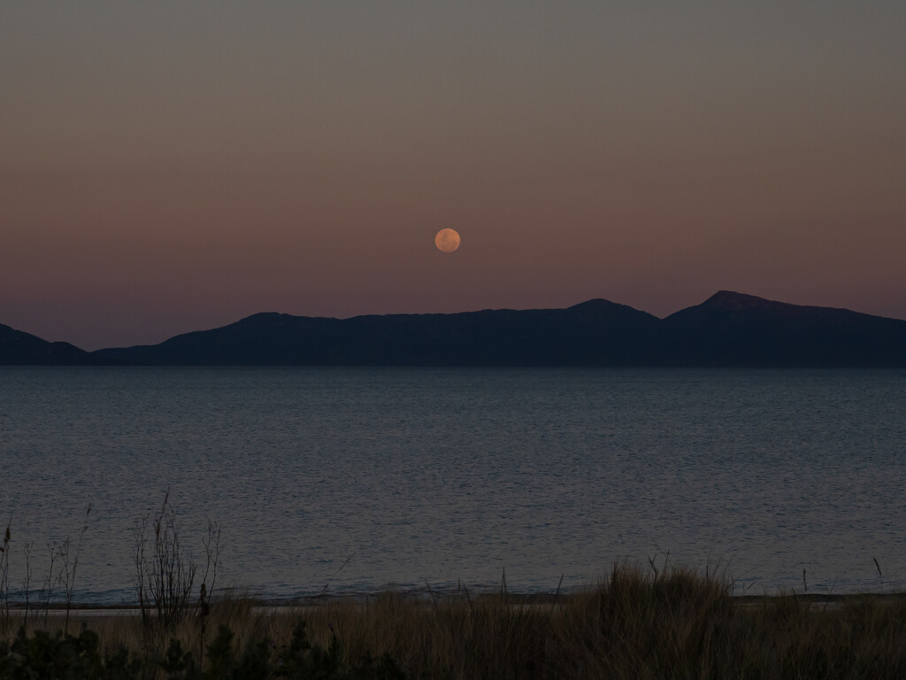 Moon rise over the water by gosia