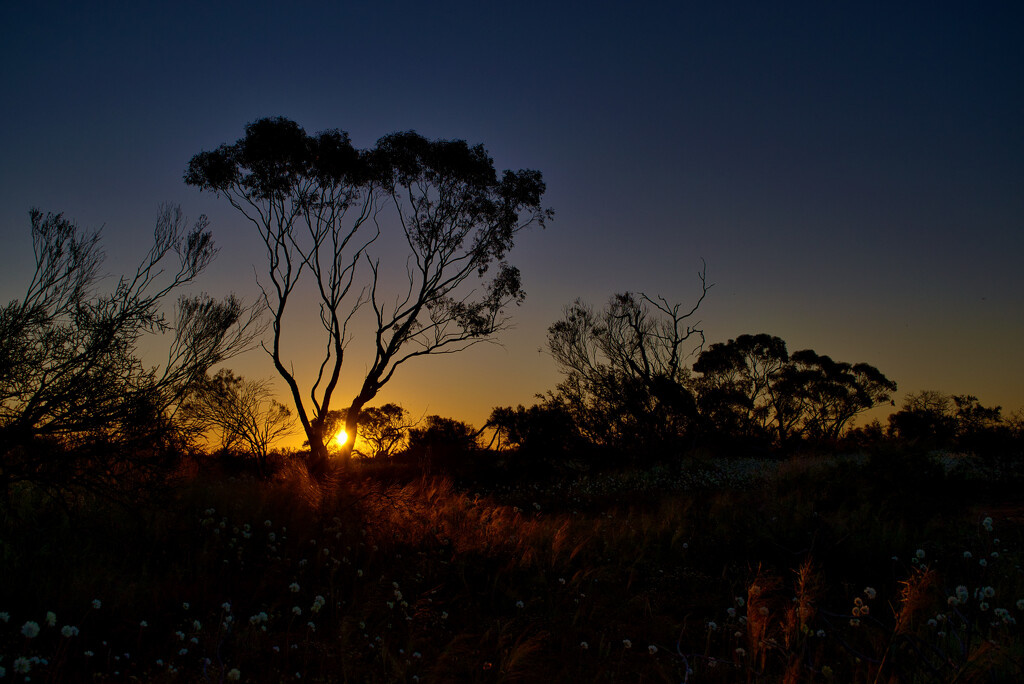 Sunset At Tenindewa CampsiteDSC_1418 by merrelyn