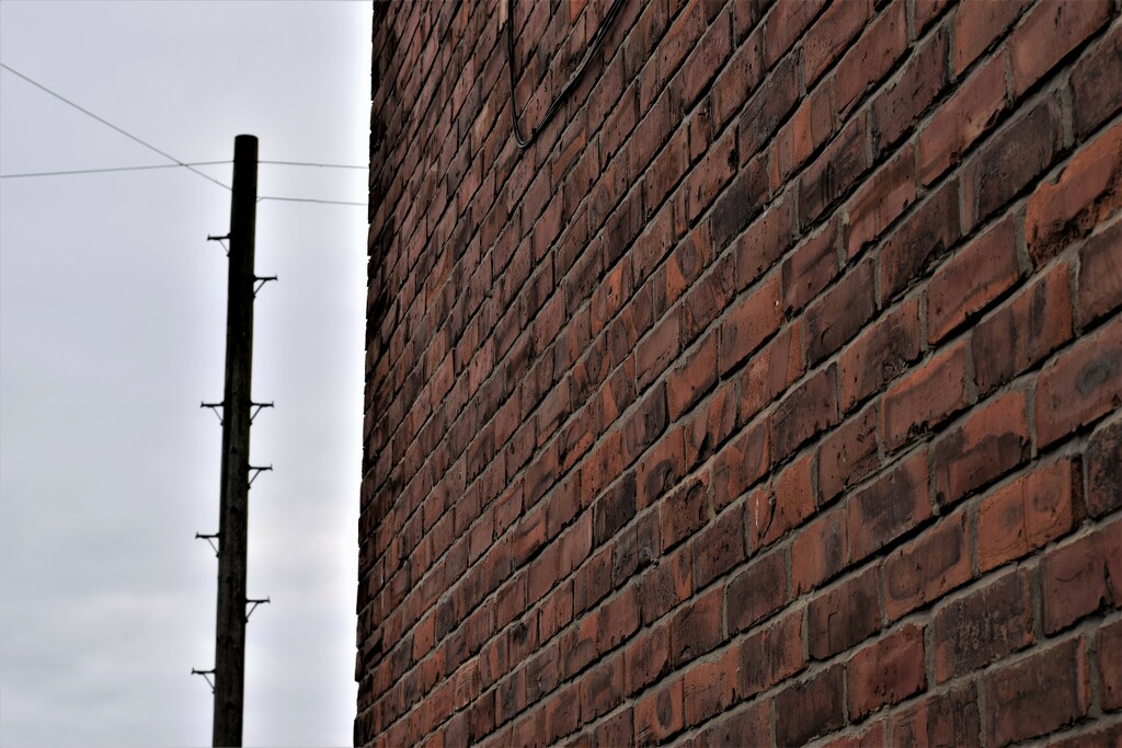 bricks by christophercox