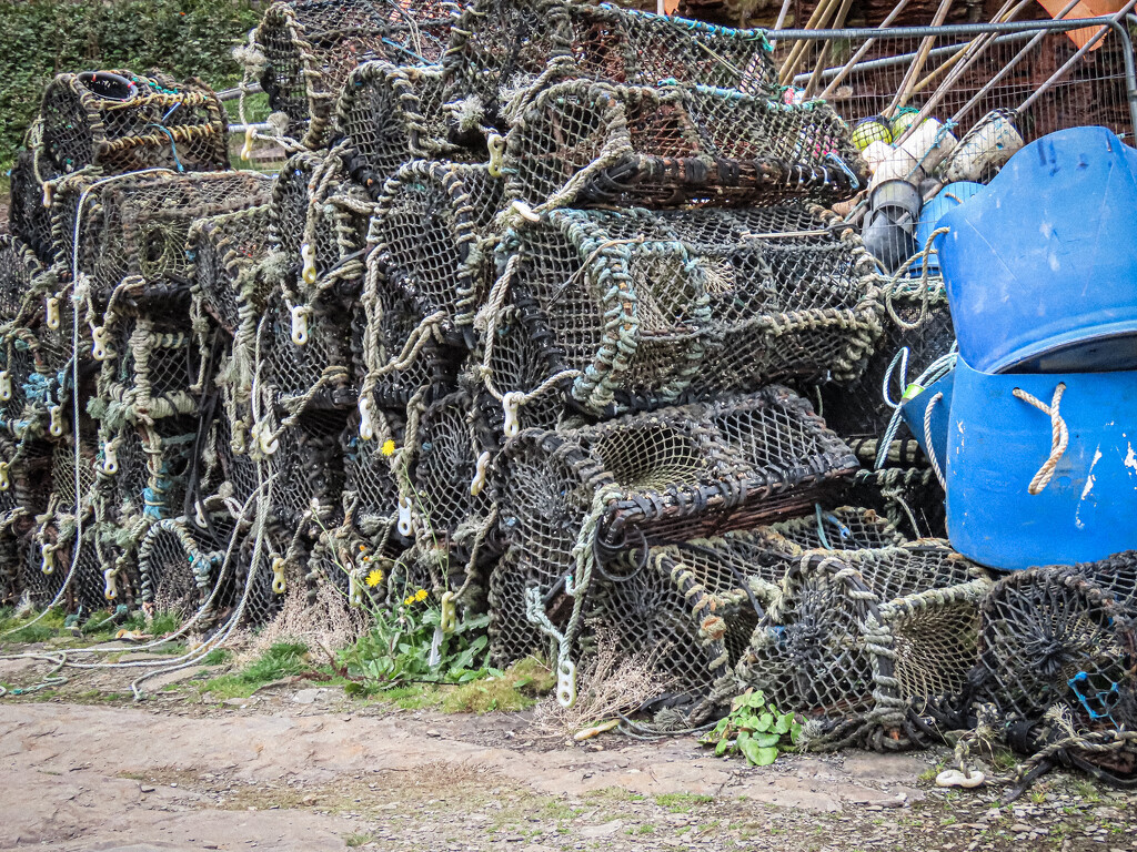 Lobster Pots by mumswaby
