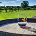 Horse Creek vineyards by photographycrazy