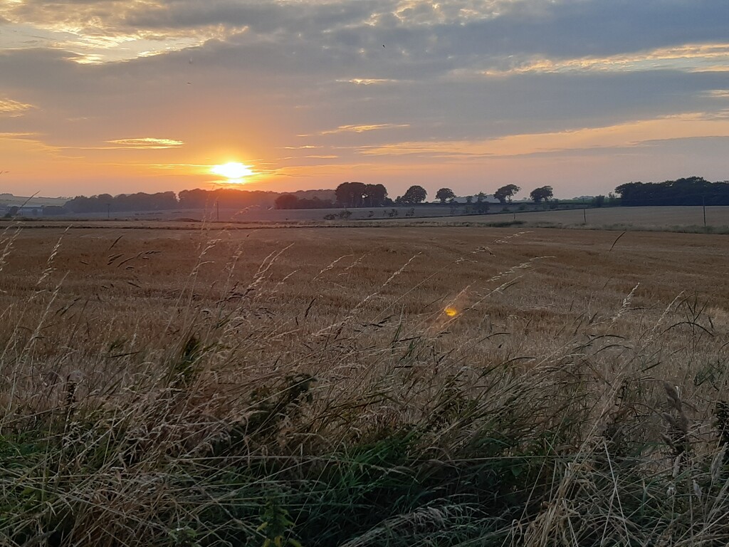 Sundown across the fields  by sarah19