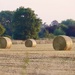 Hay Bales by carole_sandford