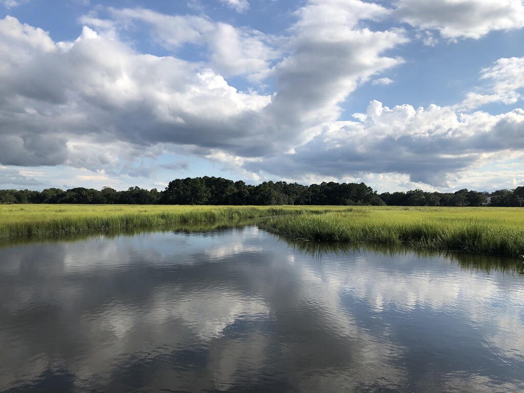 Salt marsh sky and cloud reflections by congaree