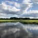Salt marsh sky and cloud reflections by congaree