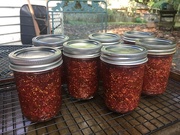 2nd Sep 2021 - Second batch of fig jam