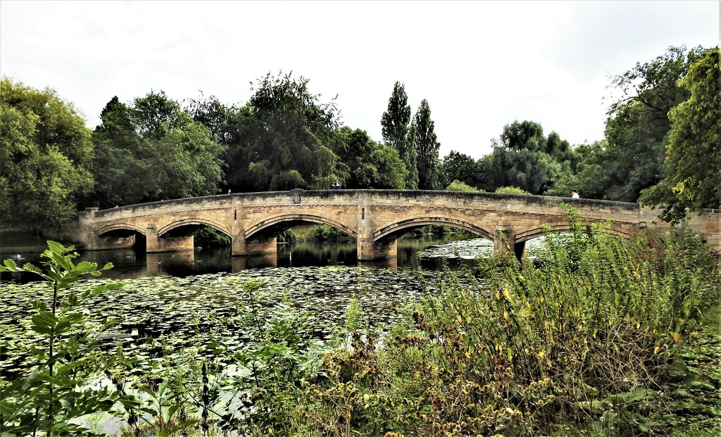 Bridge Over the River Soar by oldjosh