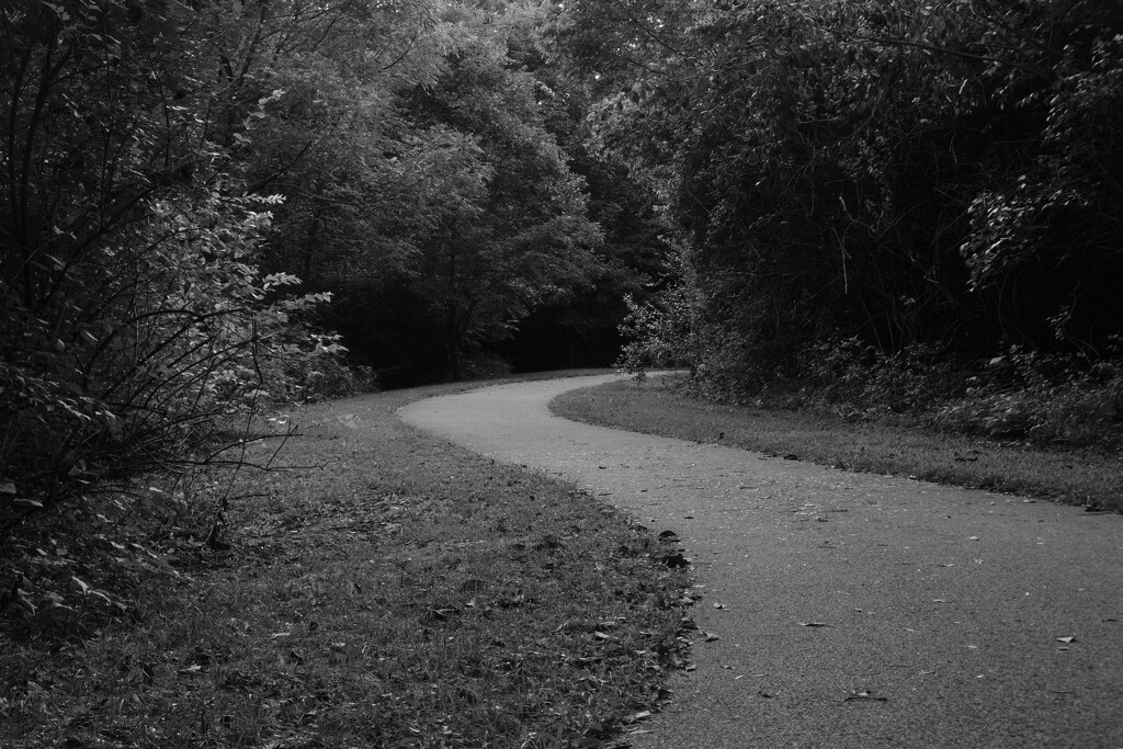 This Path Tonight - NF-SOOC by lsquared