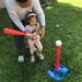 T-Ball Lessons  by beckyk365