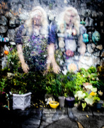 10th Sep 2021 - The Ghostly Twins that haunt my garden