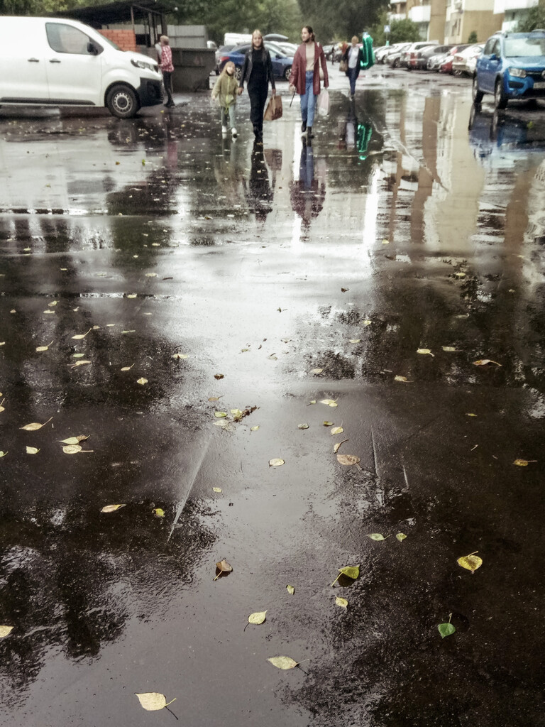 Rainy day by daryavr
