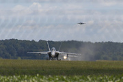 10th Sep 2021 - Returning Hornet Three-fer