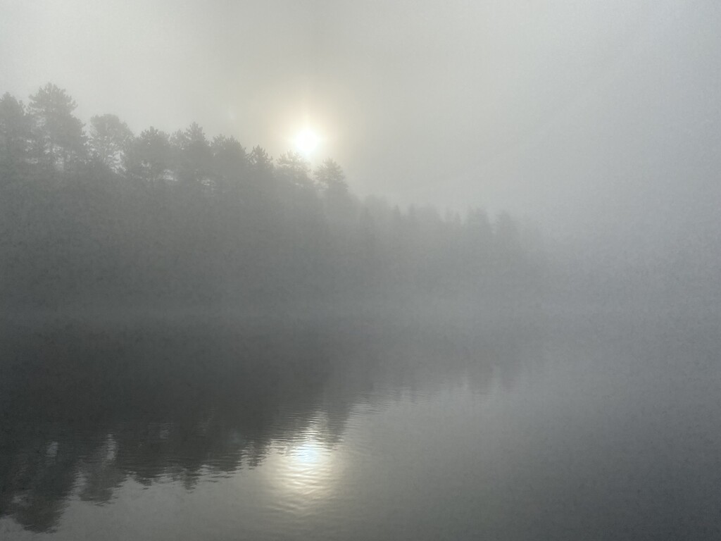 Foggy Morning  by radiogirl