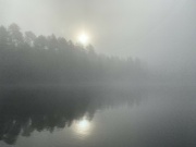 11th Sep 2021 - Foggy Morning 