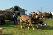10th Sep 2021 - Demonstrating horsepower at the antique show