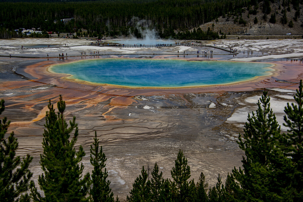 Grand Prismatic Spring by cwbill