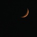 Crescent Moon by judyc57