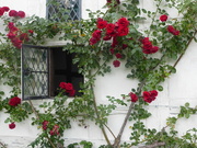 11th Sep 2021 - N T Brockhampton - lovely house frontage