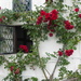 N T Brockhampton - lovely house frontage by snowy