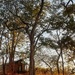 Mtomeni Safari Camp by eleanor