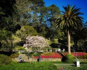 10th Sep 2021 - Botanic Gardens