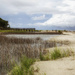 Fish Haul Creek Salt Marsh by pdulis