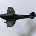Spitfire by phil_sandford