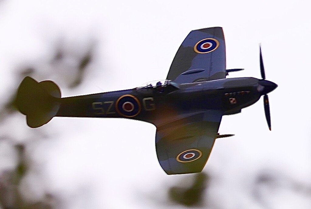 Flypast by carole_sandford