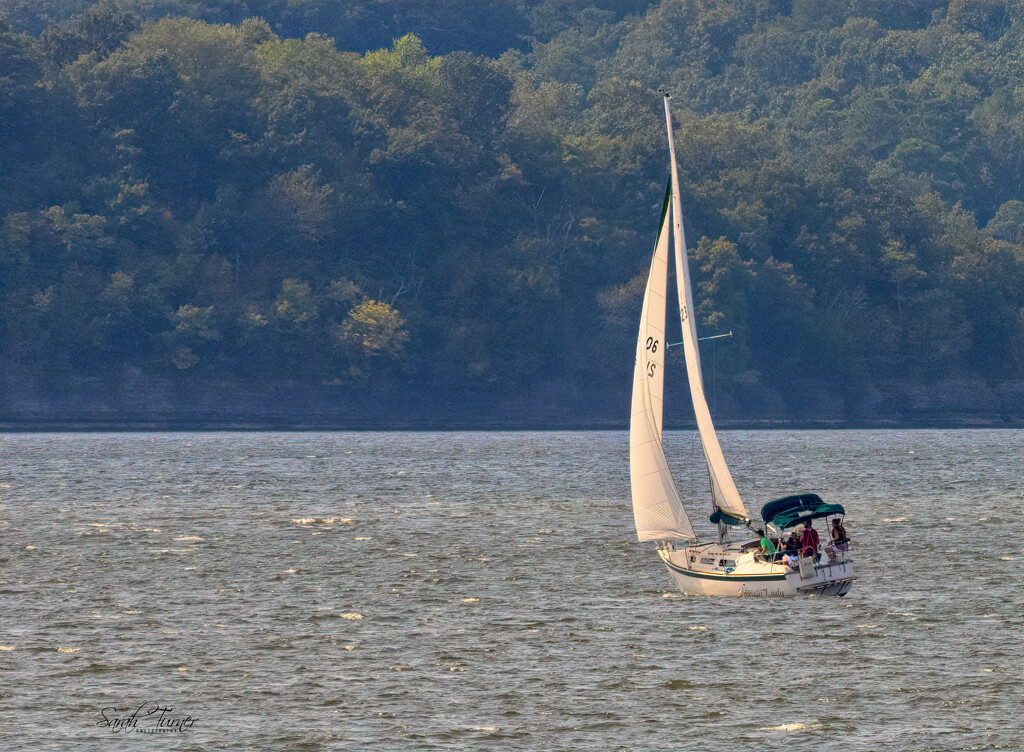 Sailboat Races by samae