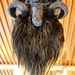 Ram, all made from wool by okvalle