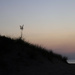 Pre-Dawn Beachgrass by timerskine