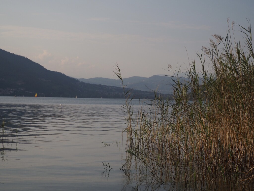 Lago di Caldonazzo by jacqbb