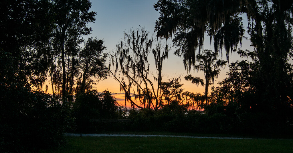 Sunset Through the Trees! by rickster549