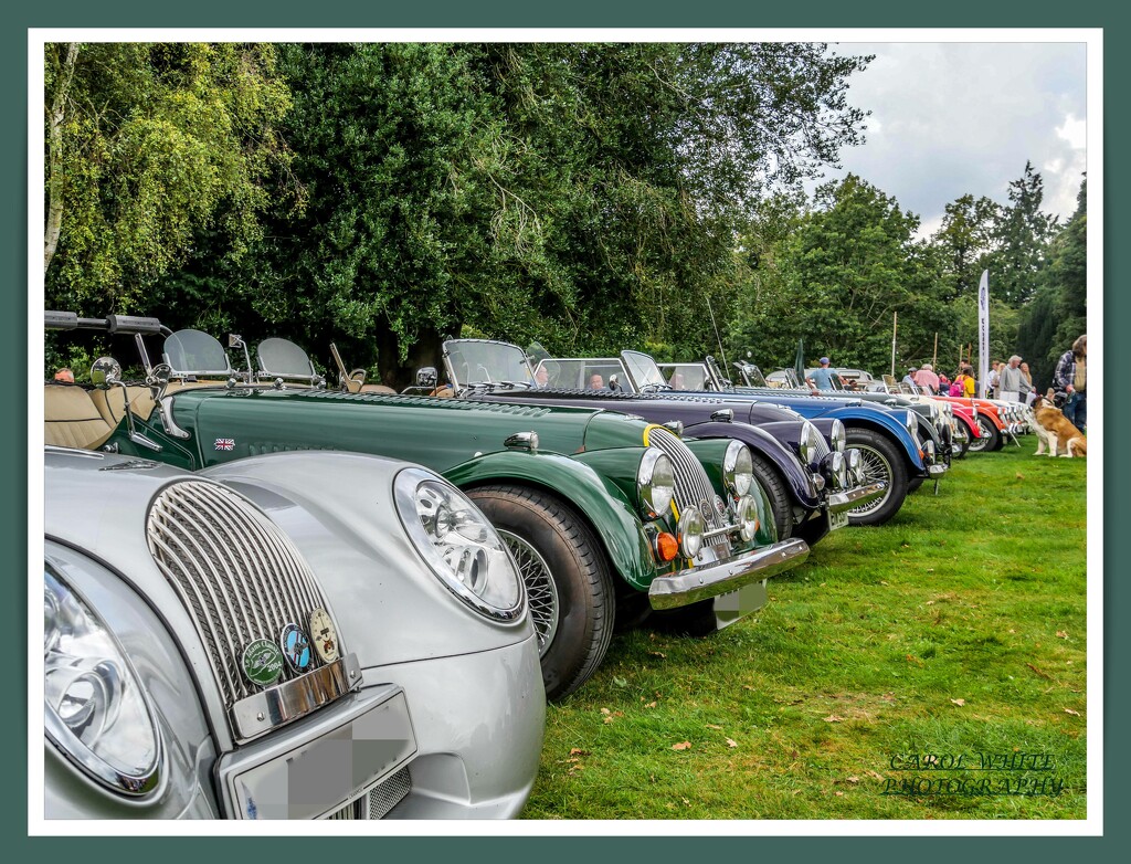 Classic Morgan Line Up,Delapre Abbey Classic Car Show by carolmw