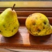 A Pair of Pears by serendypyty
