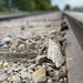 Rail track  by 38dcmoder