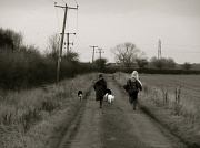 15th Jan 2011 - Run!
