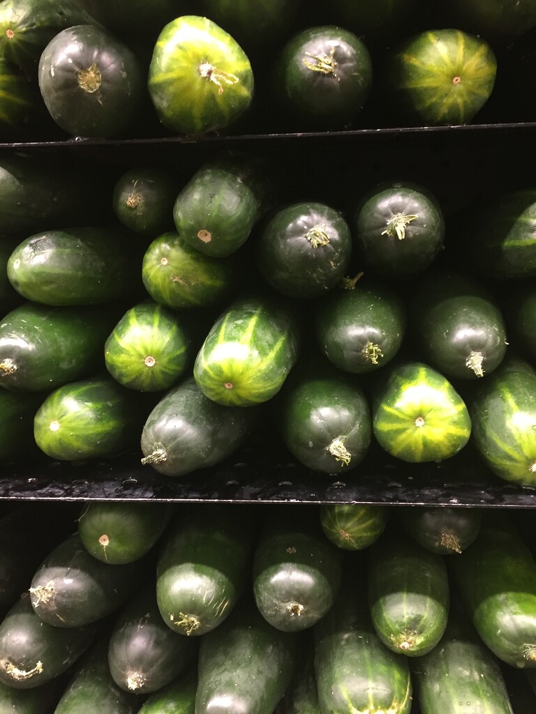 Cucumbers  by kchuk