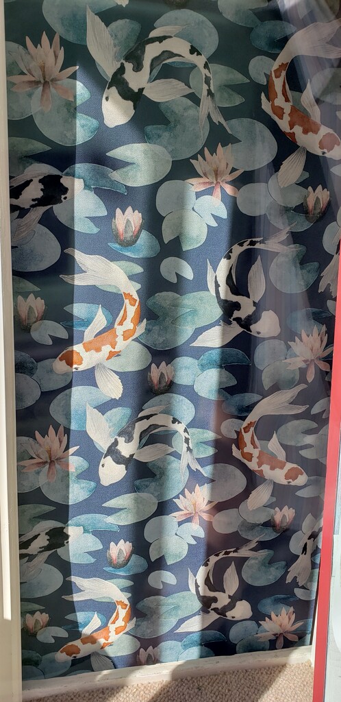Fishy wallpaper by shine365