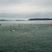 Open Water Swimming : safety by etienne