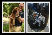 11th Sep 2021 - Space Dog