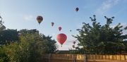 28th Aug 2021 - Balloons! 