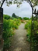14th Sep 2021 - Walled garden, Berrington
