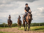 14th Sep 2021 - To the gallops 