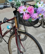14th Sep 2021 - Bicycle Bouquet
