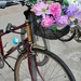Bicycle Bouquet by 365projectorgheatherb
