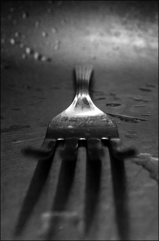 Mundane Fork by olivetreeann