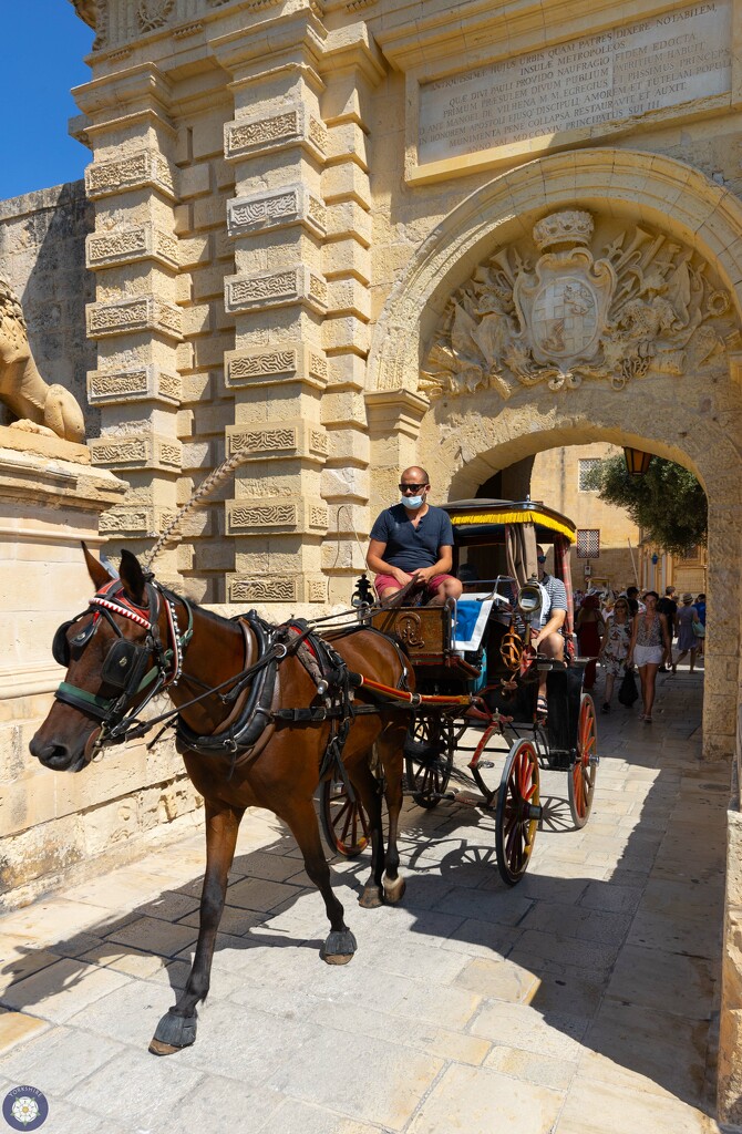 Mdina, Malta by lumpiniman