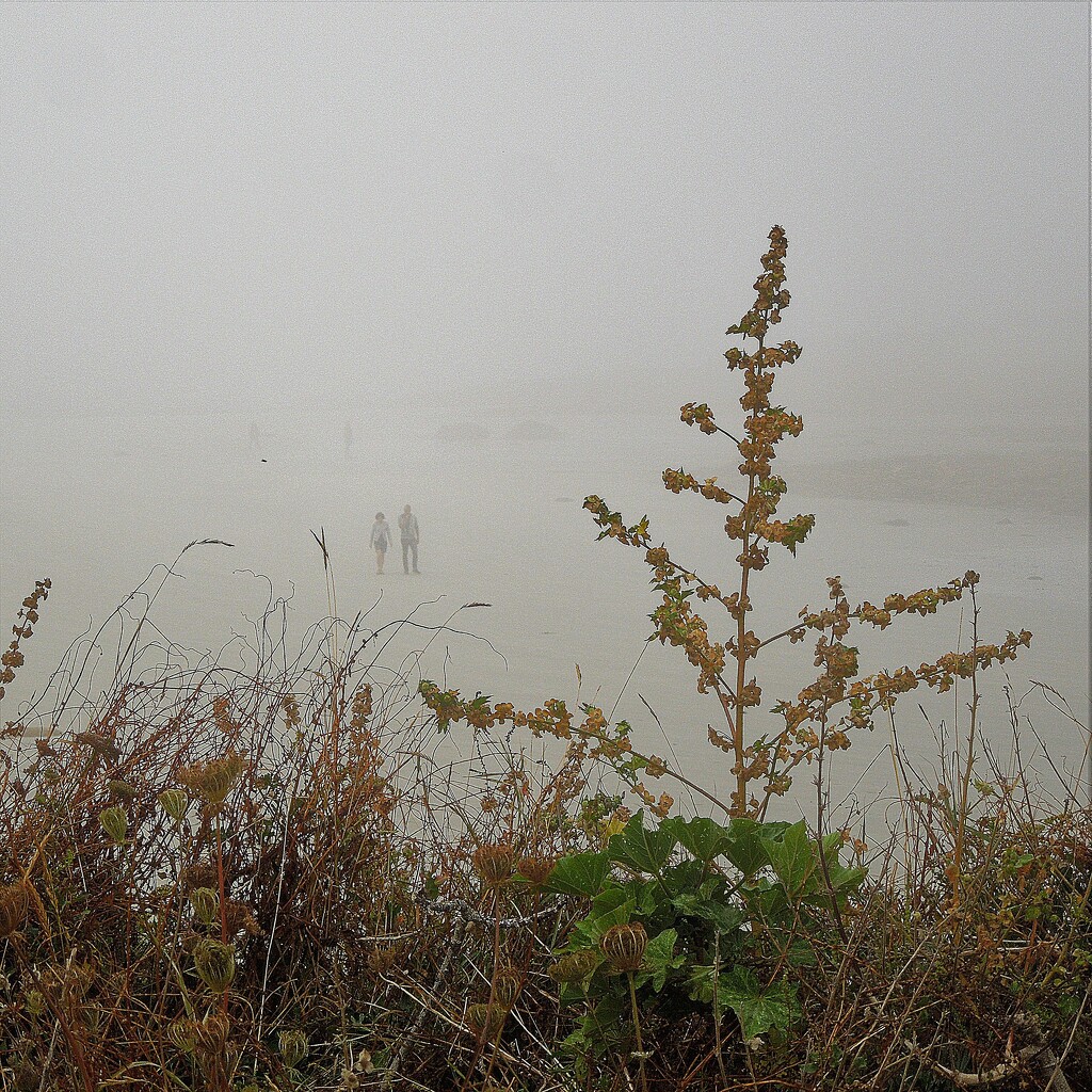 Walkers in the mist by etienne